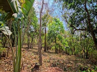 Commercial Land for Sale in Kasargod, Pullur periya, Periye, Payatuchal