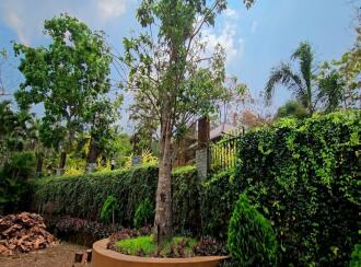 Commercial Land for Sale in Kasargod, Pullur periya, Periye, Payatuchal