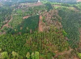 Commercial Land for Sale in Kasargod, Pullur periya, Periye, Payatuchal