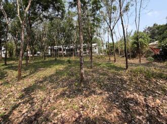 Residential Land for Sale in Pathanamthitta, Thiruvalla, Kizhakkanmuthoor, Thiruvalla - Mallappally Road