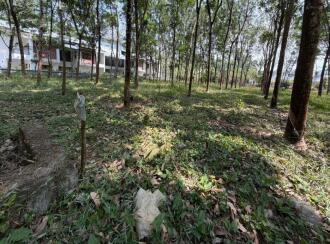 Residential Land for Sale in Pathanamthitta, Thiruvalla, Kizhakkanmuthoor, Thiruvalla - Mallappally Road
