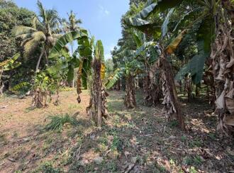 Residential Land for Sale in Pathanamthitta, Thiruvalla, Kizhakkanmuthoor, Thiruvalla - Mallappally Road