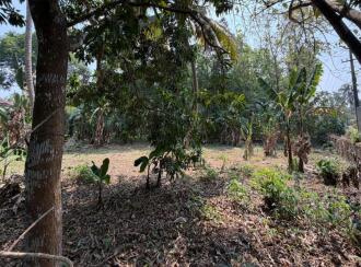 Residential Land for Sale in Pathanamthitta, Thiruvalla, Kizhakkanmuthoor, Thiruvalla - Mallappally Road