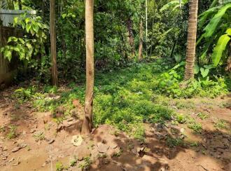 Residential Land for Sale in Thrissur, Mundur, Mundur, ARAKKAL(H) P.O Mundur , Thrissur PIN-680541