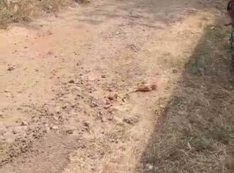 Residential House Villa for Sale in Palakkad, Palakkad, Pirayiri, Near Kakkottu kavu