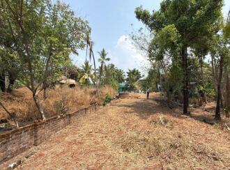 Residential Land for Sale in Thrissur, Vadanapally, Vadanapally, Near Shakaramanghalam Mahavishnu Temple, Opposite Govt.Homeopathy Clinic.