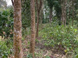 Residential Land for Sale in Kottayam, Ponkunnam, Vazhoor, Nearby Holy Family International school