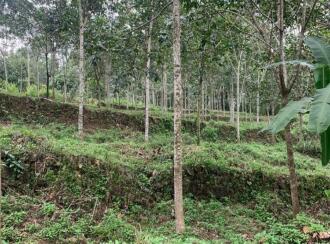 Residential Land for Sale in Kottayam, Ponkunnam, Vazhoor, Nearby Holy Family International school