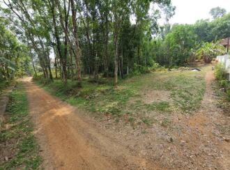 Residential Land for Sale in Kottayam, Pampady, South Pampady, St. Thomas Church Opp Road, South Pampady, South Pampady