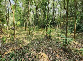 Residential Land for Sale in Kottayam, Pampady, South Pampady, St. Thomas Church Opp Road, South Pampady, South Pampady