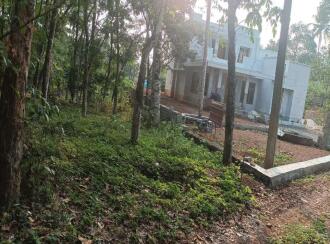 വാസയോഗ്യമായ ഭൂമി വില്പനയ്ക്ക് കോട്ടയം, Changanassery, Mammoodu, Kanichukulam