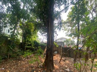 Residential Land for Sale in Ernakulam, Kakkanad, Kakkanad, Kakkanad