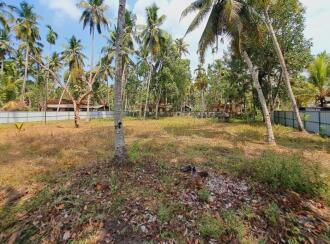 Residential Land for Sale in Alleppey, Kayamkulam, Kareelakulangara