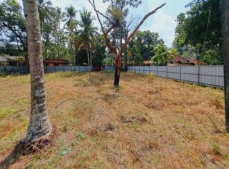 Residential Land for Sale in Alleppey, Kayamkulam, Kareelakulangara