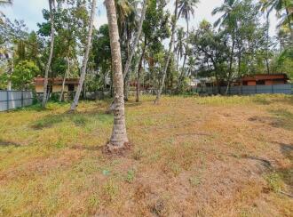 Residential Land for Sale in Alleppey, Kayamkulam, Kareelakulangara
