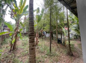 Residential Land for Sale in Thrissur, Chalakudy, Kadukutty, Church road