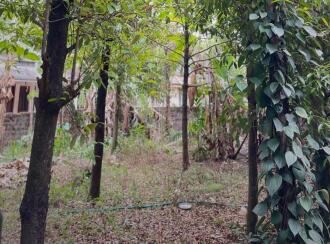 Residential Land for Sale in Thrissur, Chalakudy, Kadukutty, Church road