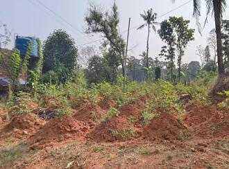 Residential Land for Sale in Ernakulam, Perumbavoor, Asamannoor, Asamanoor panchayathu