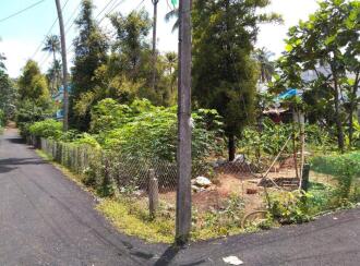 Residential Land for Sale in Thrissur, Pattikkad, Kannara