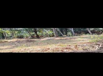 Residential Land for Sale