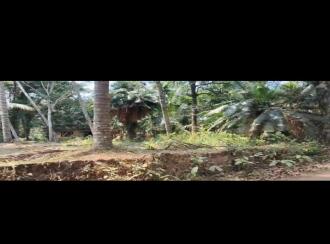 Residential Land for Sale in Kozhikode, Quilandy, Kappad, kappad beach road from pookkad