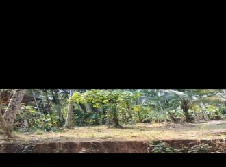 Residential Land for Sale in Kozhikode, Quilandy, Kappad, kappad beach road from pookkad