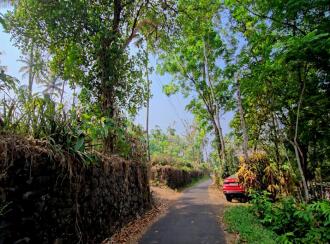 Residential Land for Sale in Kottayam, Kaduthuruthy, Kanjirathanam, St John's high school, kanjirathanam