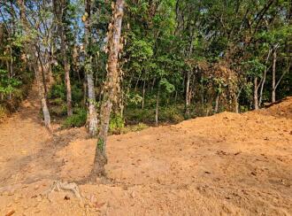 Residential Land for Sale in Pathanamthitta, Pathanamthitta, Elavanthitta, Chandhanamkunnu Lp School