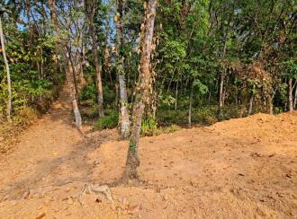 Residential Land for Sale in Pathanamthitta, Pathanamthitta, Elavanthitta, Chandhanamkunnu Lp School