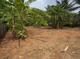 Residential Land for Sale in Thrissur, Pattikkad, Pattikkad, NH-karippa road