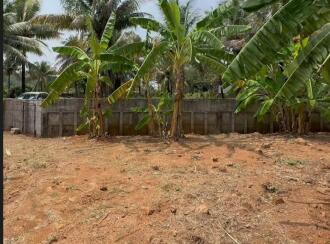 Residential Land for Sale in Thrissur, Pattikkad, Pattikkad, NH-karippa road