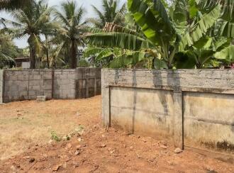 Residential Land for Sale in Thrissur, Pattikkad, Pattikkad, NH-karippa road