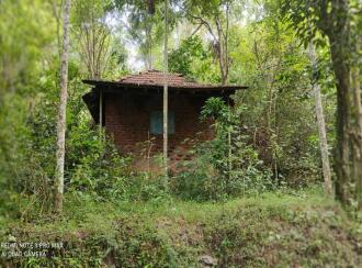 Commercial Land for Sale in Wayanad, Pulpally, Pulpally