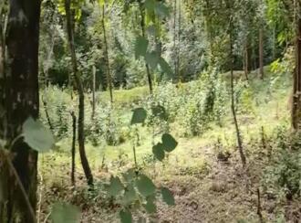 Commercial Land for Sale in Wayanad, Pulpally, Pulpally