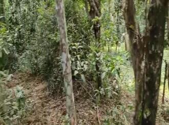 Commercial Land for Sale in Wayanad, Pulpally, Pulpally