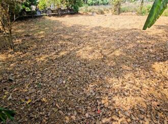 Residential Land for Sale in Kottayam, Pala, Pravithanam, 9°44'52.9"N 76°42'05.5"E