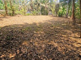 Residential Land for Sale in Kottayam, Pala, Pravithanam, 9°44'52.9"N 76°42'05.5"E