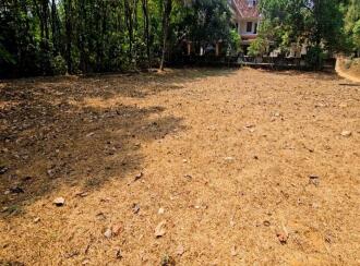 Residential Land for Sale in Kottayam, Pala, Pravithanam, 9°44'52.9"N 76°42'05.5"E