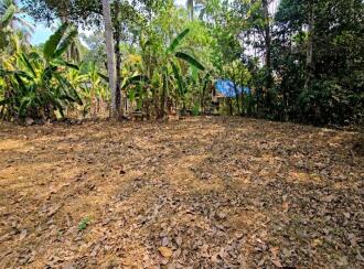 Residential Land for Sale in Kottayam, Pala, Pravithanam, 9°44'52.9"N 76°42'05.5"E