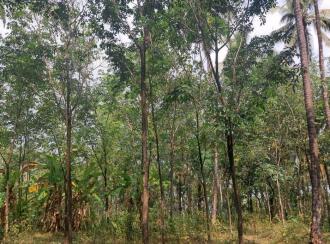 Residential Land for Sale in Kannur, Manakadavu, Near alacode, Manakadavu