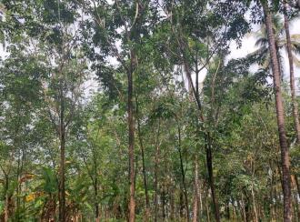 Residential Land for Sale in Kannur, Manakadavu, Near alacode, Manakadavu