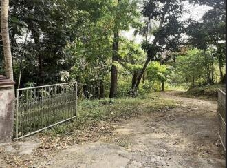 Residential Land for Sale in Thrissur, Thrissur, Kannara, Kerala Forest Research Institute Main Office