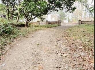 Residential Land for Sale in Thrissur, Thrissur, Kannara, Kerala Forest Research Institute Main Office