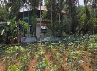 Residential Land for Sale in Kottayam, Pala, Ramapuram, Rama temple
