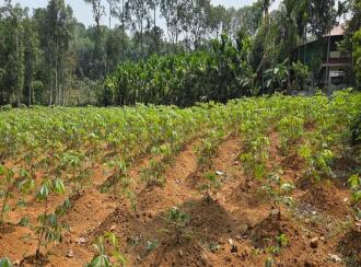 Residential Land for Sale in Kottayam, Pala, Ramapuram, Rama temple