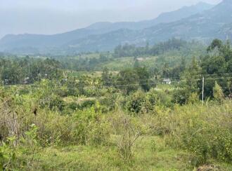 Residential Land for Sale in Idukki, Munnar, Kanthaloor, Marayur