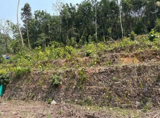 Residential Land, Pathanamthitta