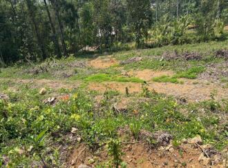 Residential Land for Sale in Pathanamthitta, Pathanamthitta, Mylapra, Mylapra CSI Church