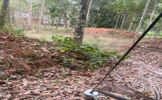 Residential Land for Sale in Kozhikode, Koorachundu, Koorachundu, Vattachira Road, Koorachundu, Kozhikode