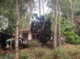 Residential Land for Sale in Kozhikode, Koorachundu, Koorachundu, Vattachira Road, Koorachundu, Kozhikode